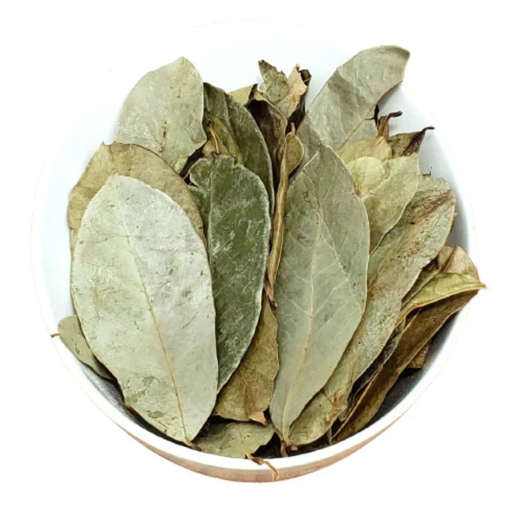 Soursop Leaves Dried St.Lucian Seamoss Company
