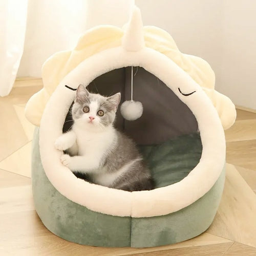 Adorable Dinosaur Pet House with Toy Universboutik
