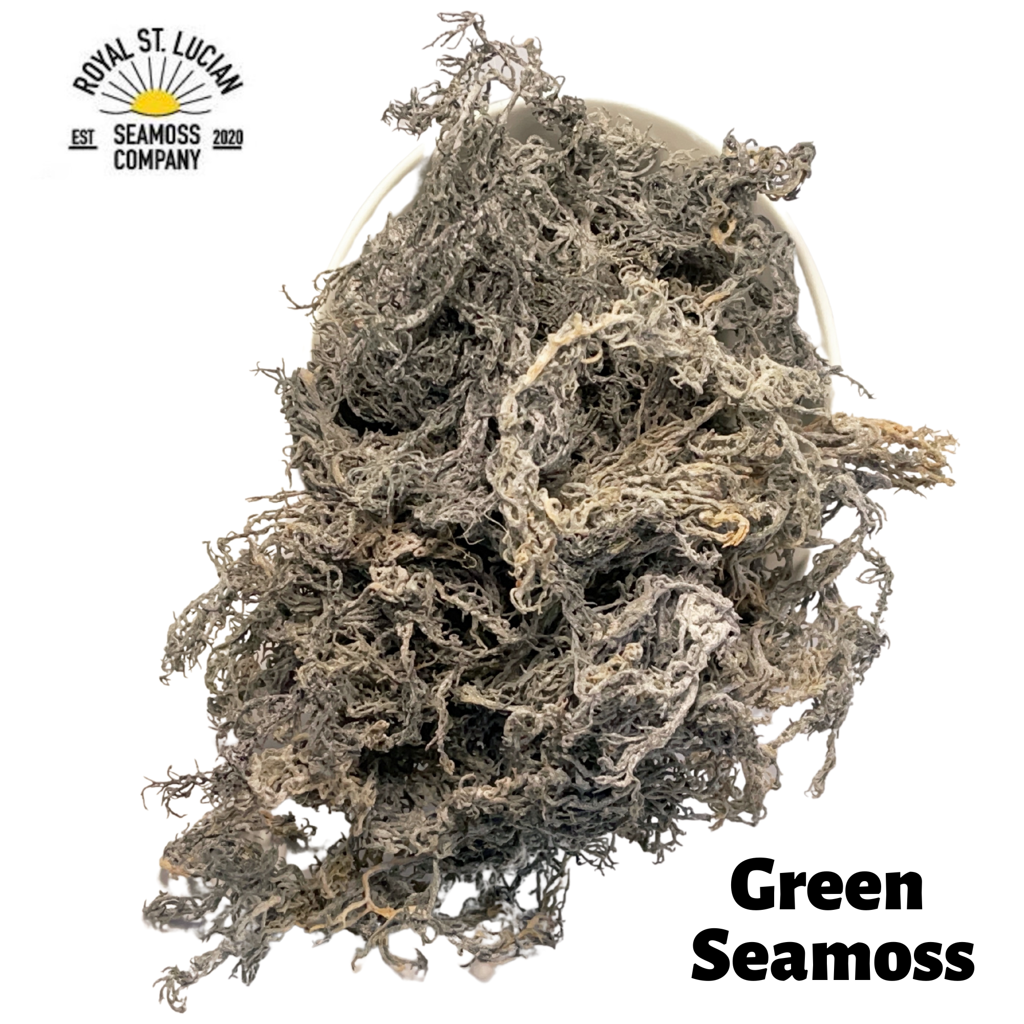 St Lucian Green Sea Moss (Dried) | Traceable, Lab Tested St.Lucian Seamoss Company