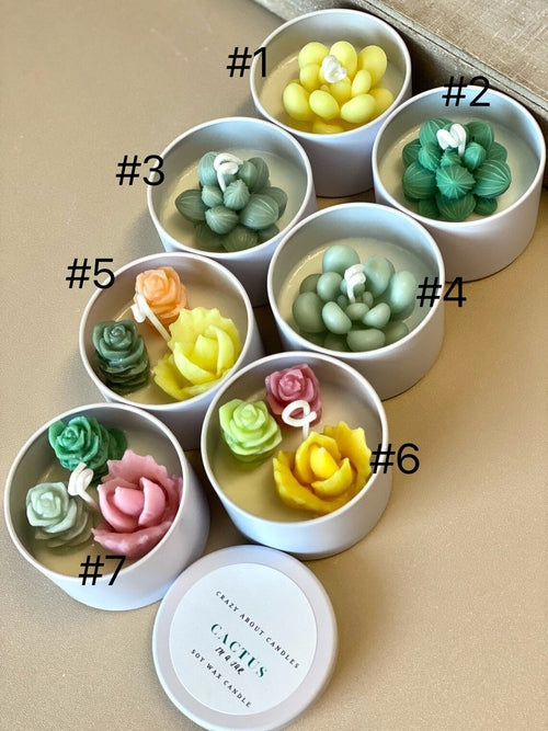 Cactus in a Jar Scented Candle - Handmade Aroma Bliss Universboutik