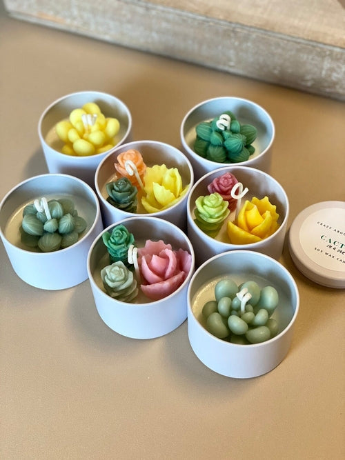 Cactus in a Jar Scented Candle - Handmade Aroma Bliss Universboutik