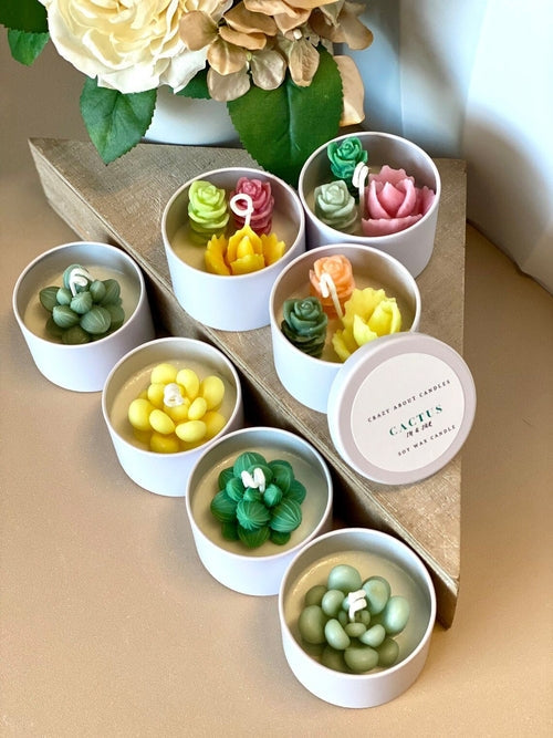 Cactus in a Jar Scented Candle - Handmade Aroma Bliss Universboutik