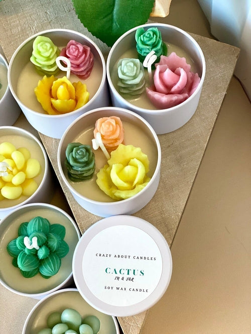 Cactus in a Jar Scented Candle - Handmade Aroma Bliss Universboutik