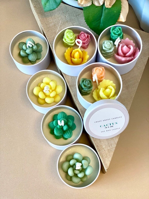 Cactus in a Jar Scented Candle - Handmade Aroma Bliss Universboutik